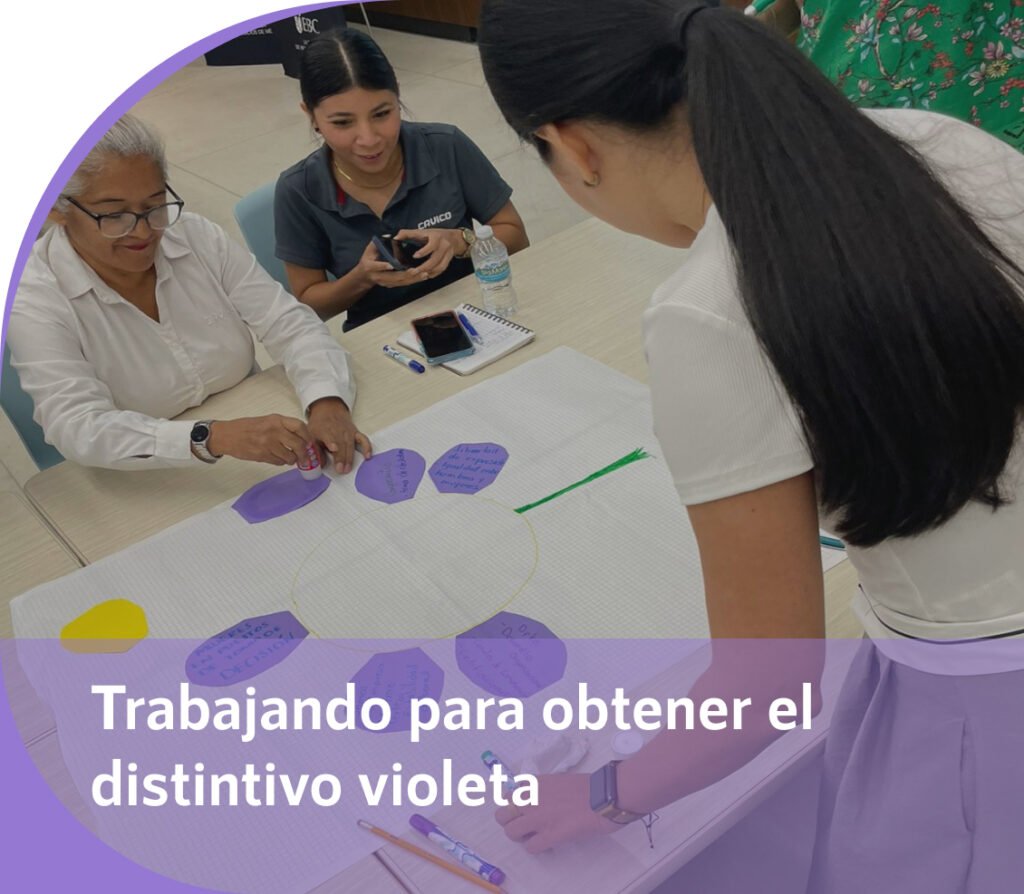 trabajando-para-obtener-distintivo-violeta